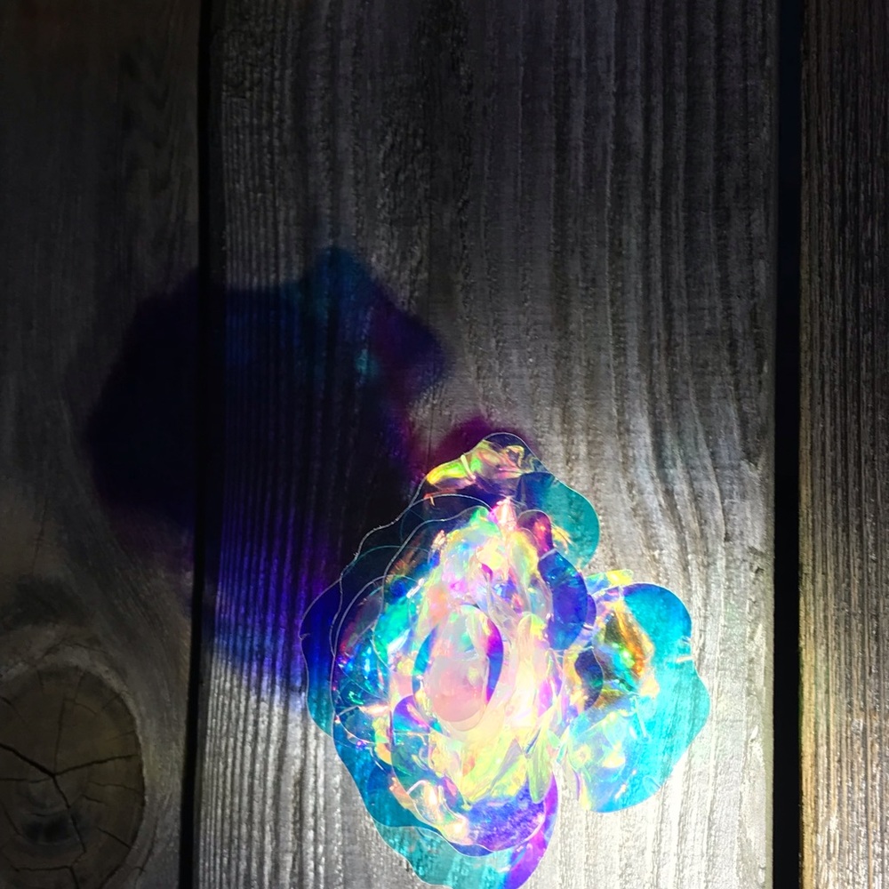 Meet your Posher, Angela